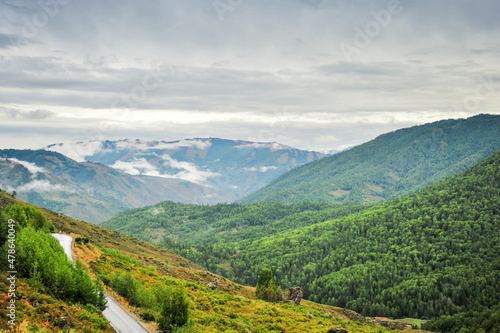 Mountains, forests, natural scenery, under the background of cloudy weather. In Xinjiang, China. © 欣谏