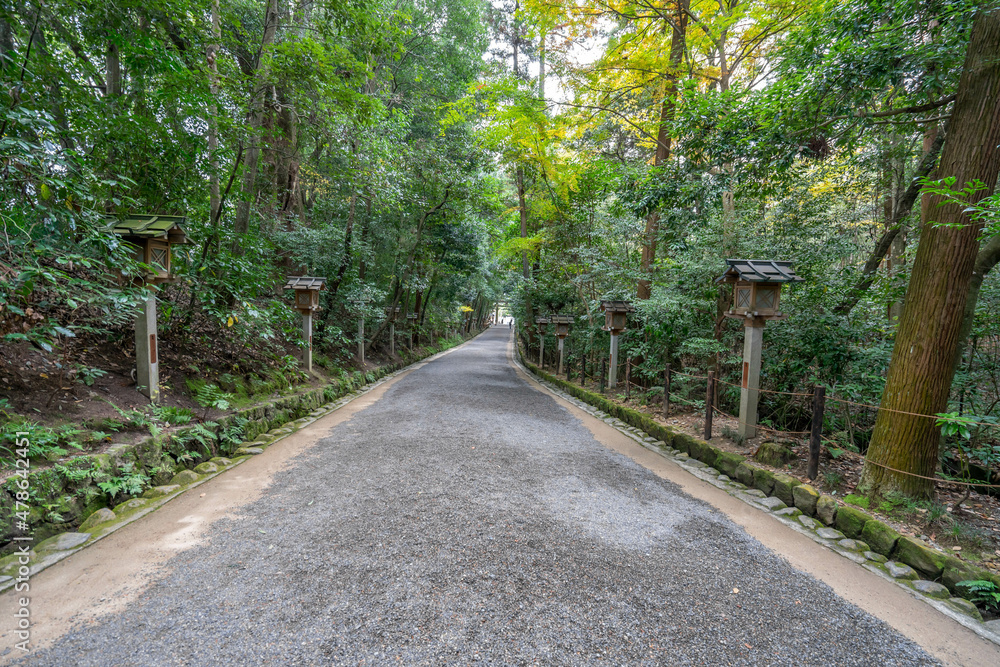 Fototapeta premium 大神神社