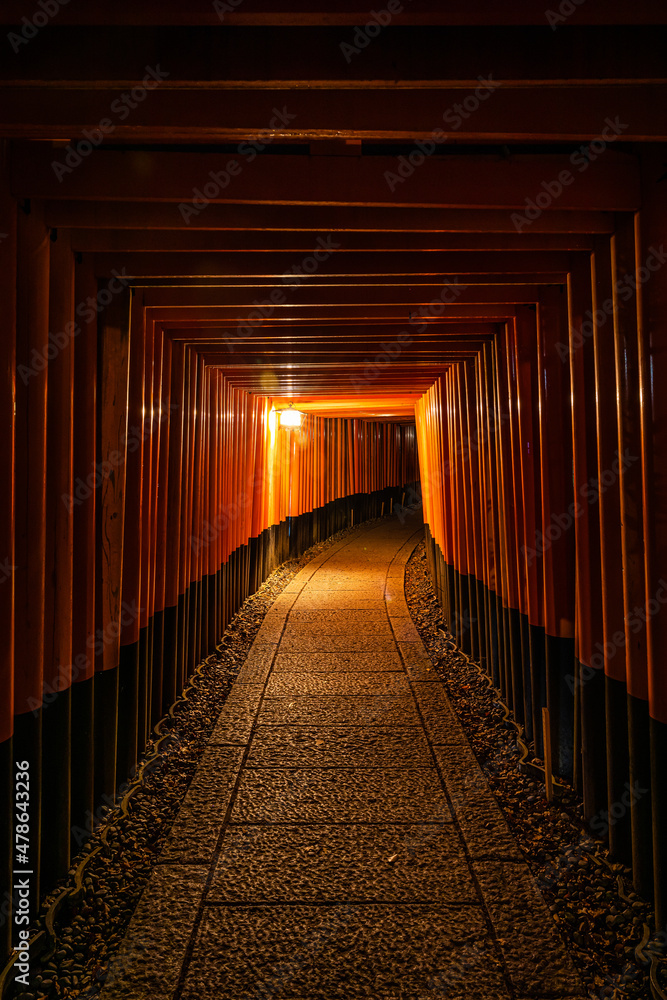 Fototapeta premium The Senbon Torii, Thousands Torii Gate, at Fushimi Inari Taisha Shinto shrine at night.