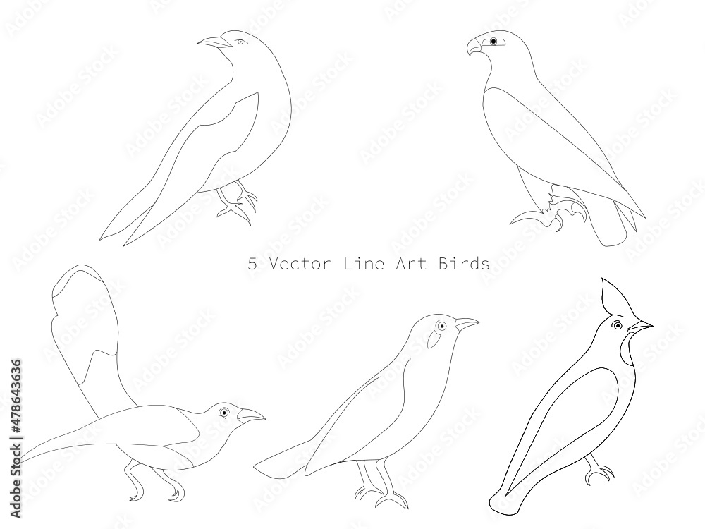 set of birds set of birds