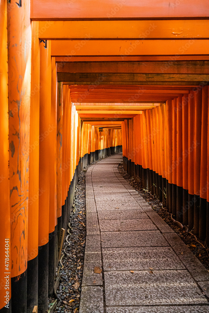 The Senbon Torii, Thousands Torii Gate, at Fushimi Inari Taisha Shinto shrine in daylight. The Senbon Torii, Thousands Torii Gate, at Fushimi Inari Taisha Shinto shrine in daylight.