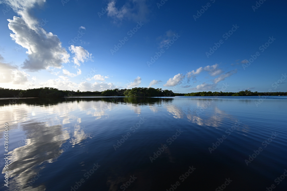Fototapeta premium Afternoon winter cloudscape over Paurotis Pond in Everglades National Park, Florida reflected in water.