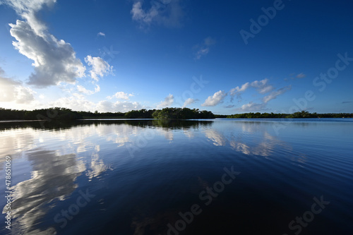 Afternoon winter cloudscape over Paurotis Pond in Everglades National Park, Florida reflected in water.