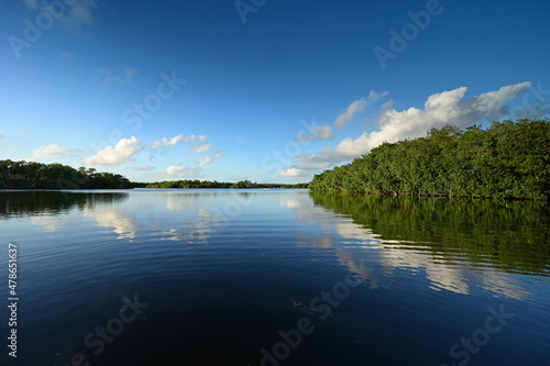 Afternoon winter cloudscape over Paurotis Pond in Everglades National Park, Florida reflected in water.