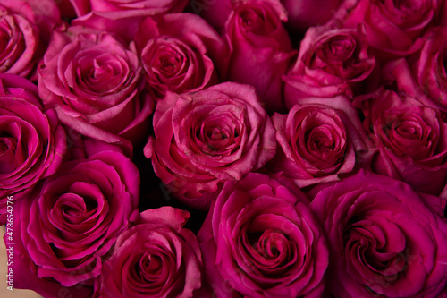 Rosas para Enamorados © Francisco