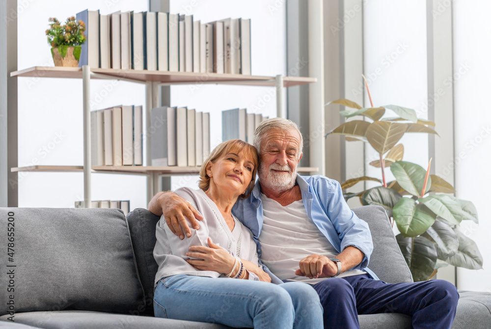 Elderly woman and a man relaxing on cozy sofa at home, Happy senior couple in living room, Happy family concepts