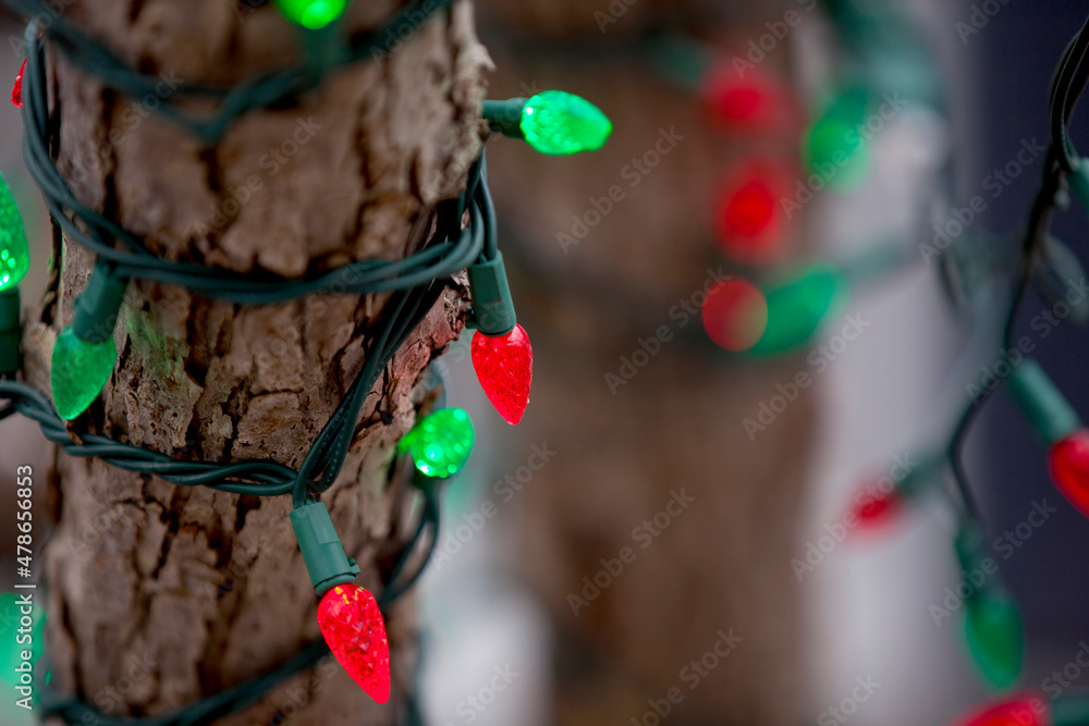 Christmas lights strung up on a tree along a city boulevard.