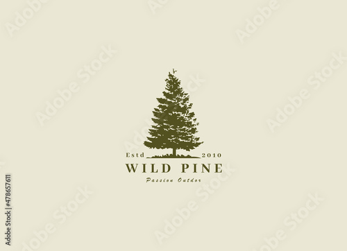 Rustic Retro Vintage cedar, cypress, larch, spruce, pine, pinus, evergreen, coniferous, conifer, fir, hemlock trees logo design
