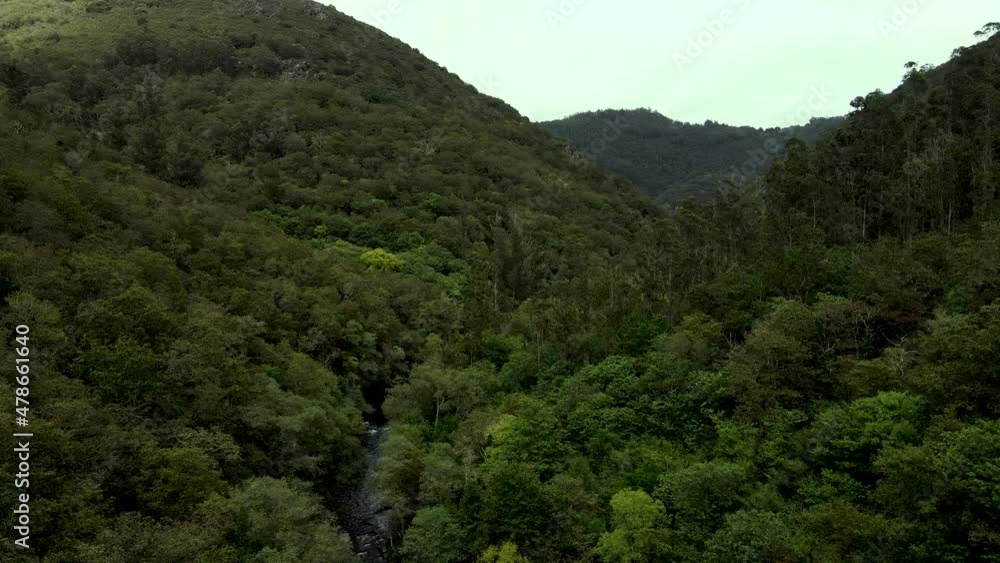 Drone perspective of Fragas do Eume Natural Park. A lush forest that follows the course of the River Eume in Galicia Drone perspective of Fragas do Eume Natural Park. A lush forest that follows the course of the River Eume in Galicia