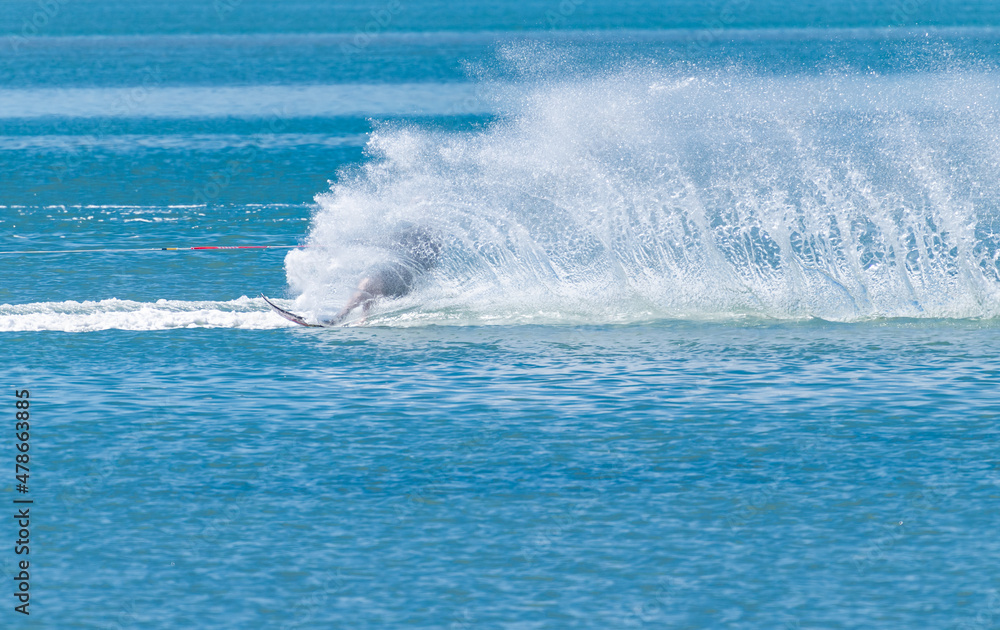 Water skiing on Tauranga harbour with large plume of spray. Water skiing on Tauranga harbour with large plume of spray.