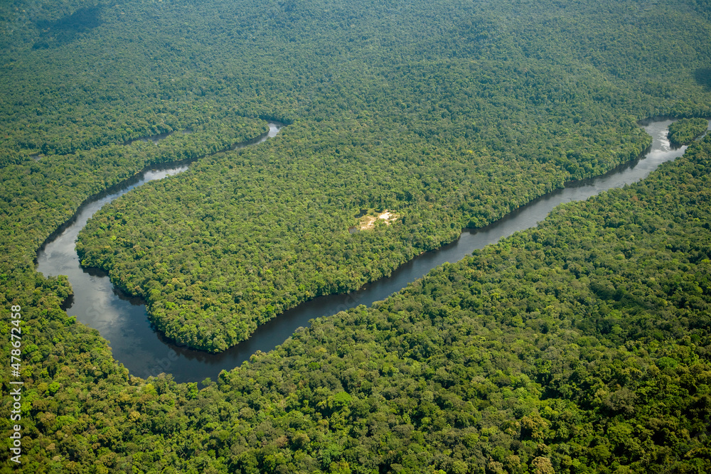 Jungles of Yaki Mountain and Potaro River Region Kaieteur National Park Guyana