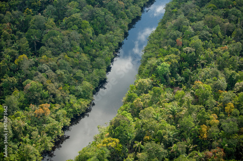 Swamp and Jungle River Amerindian Reserve Kabakaburr Guyana