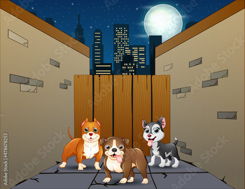 Fototapeta Naklejka Na Ścianę i Meble -  Cartoon three dogs in a small street alley at night