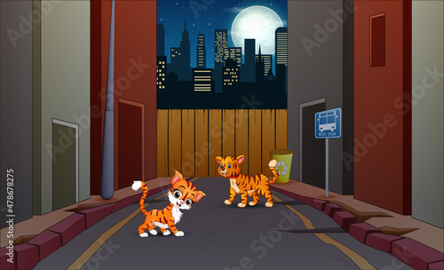 Night urban landscape with two cats on the street