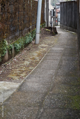 雰囲気のある細い路地。歴史を感じさせる。この先は洗足池 © Tsubasa Mfg