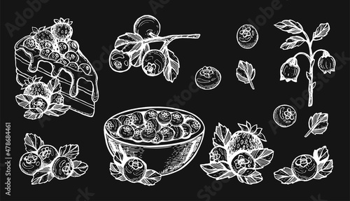 blueberry vector doodle. blueberry sketch. blueberry pie vector sketch. plate blueberry vector drawing hand. blueberry collection vector sketch. piece of cake vector. Vector graphics. EPS 10
