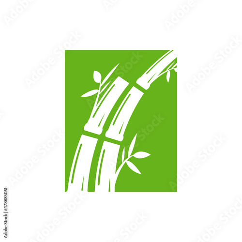 bamboo logo icon design template vector