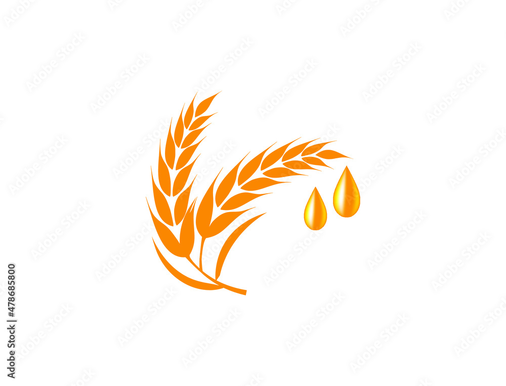 organic rice bran oil vector illustration organic rice bran oil vector illustration