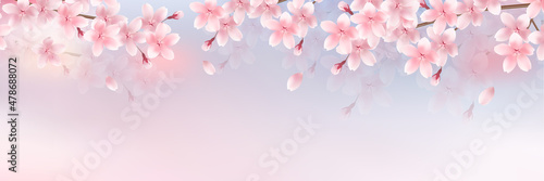 桜　春　花　背景  © J BOY