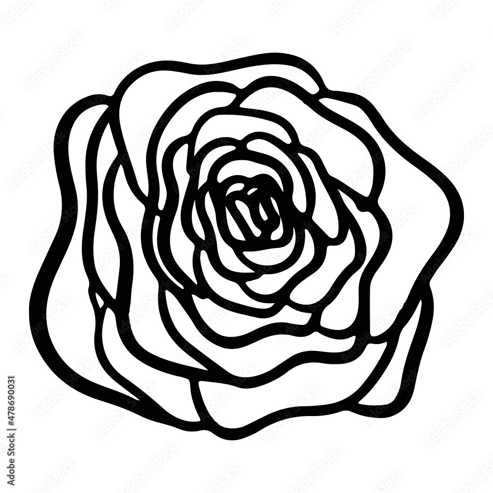 Rose vector icon Rose vector icon