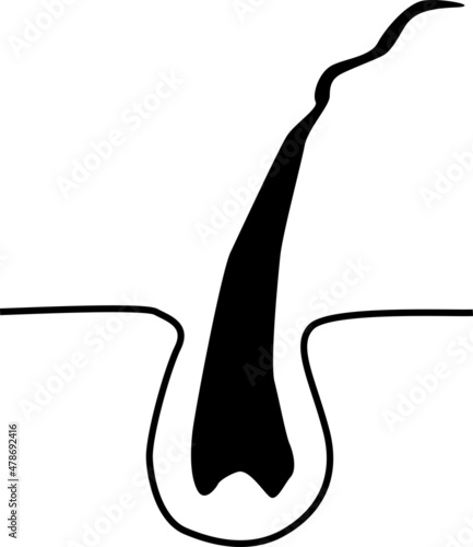 癖のある毛のイラスト