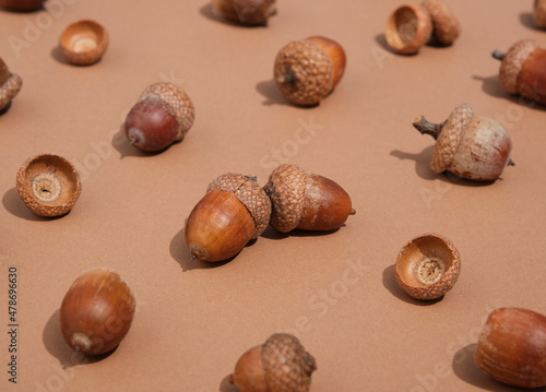 Wallpaper Mural Many beautiful acorns lie on pastel brown background. Scene of autumn beauty. Torontodigital.ca