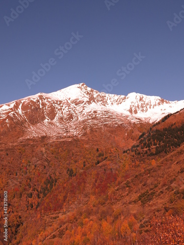 val Cavargna  monte Pizzo di Gino  baita  bandiera tricolore  betulla  fogliame autunnale  rustici  paesi montani  sentieri  panorami  neve 