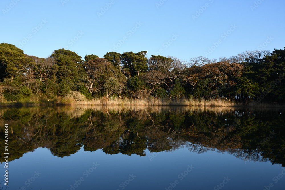 大瀬崎の神池 大瀬崎の神池