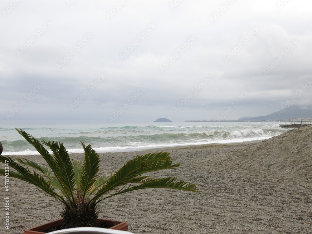 mare tirreno, inverno, mare invernale, mare mosso, cielo scuro, famiglia al mare, Genova, onde, palma ,littorale, spiaggia, paesaggi marini. mare tirreno, inverno, mare invernale, mare mosso, cielo scuro, famiglia al mare, Genova, onde, palma ,littorale, spiaggia, paesaggi marini.