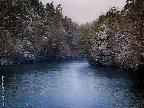 冬の湖畔
