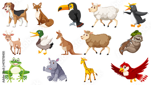 Set of isolated different animals