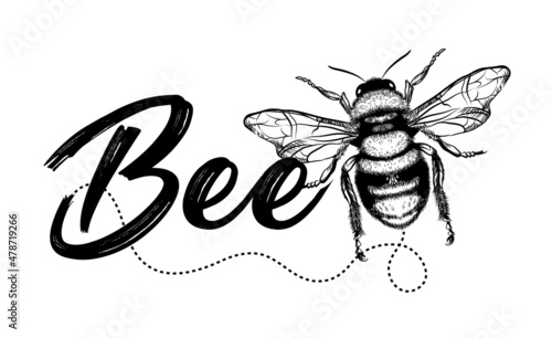 Vector illustration logo and design template or label. Organic honey label and eco-bee linear style.