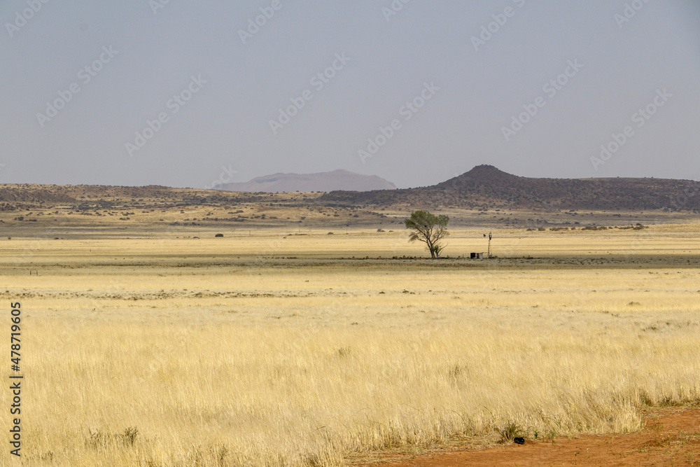 grassland landscape picture of the eastern cape highlands