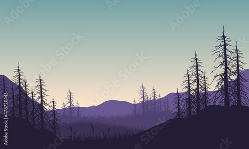 Stunning forest and mountain view from the outskirts of the city at night