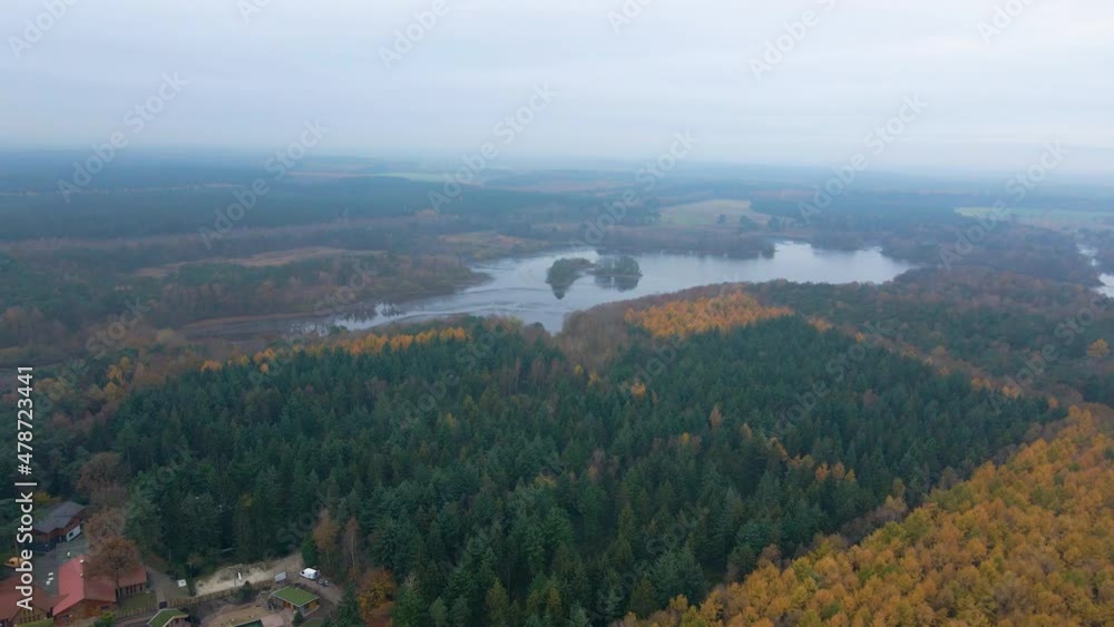 Aerial View Of Verdant Pine Trees And Autumnal Trees In Forest Near Thulsfelder Stausee In Germany. Aerial View Of Verdant Pine Trees And Autumnal Trees In Forest Near Thulsfelder Stausee In Germany.