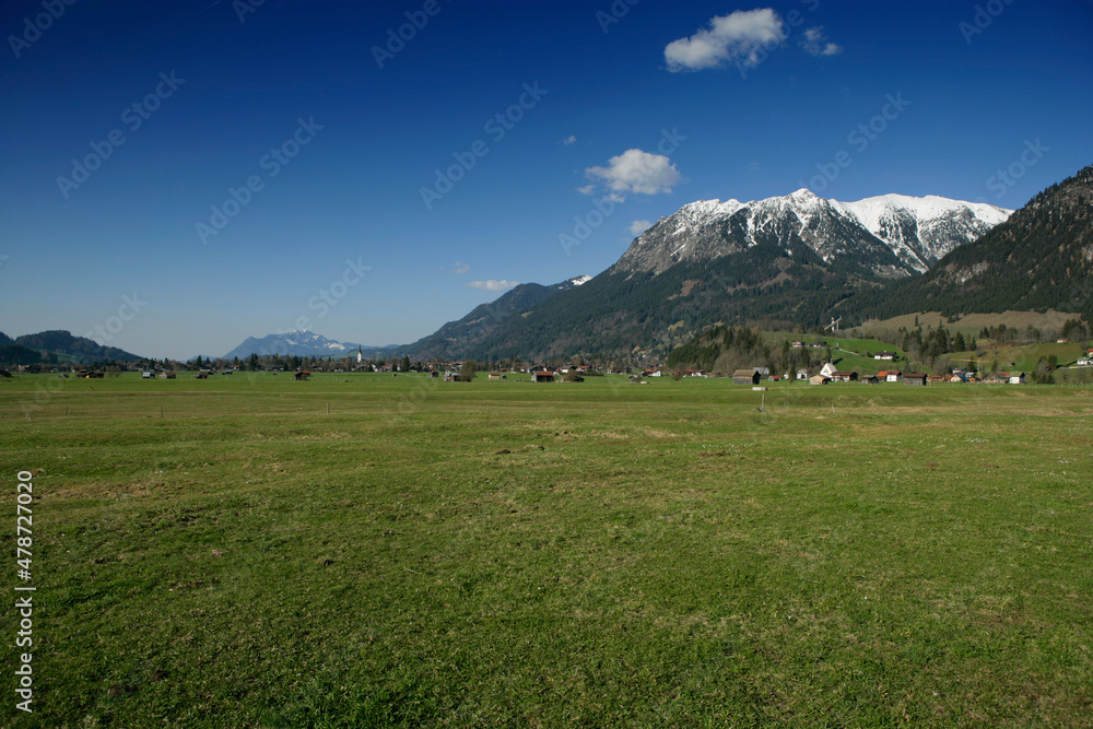 Fototapeta premium Alps