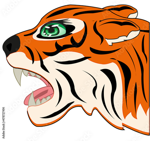 Head wild ravenous animal tiger in profile