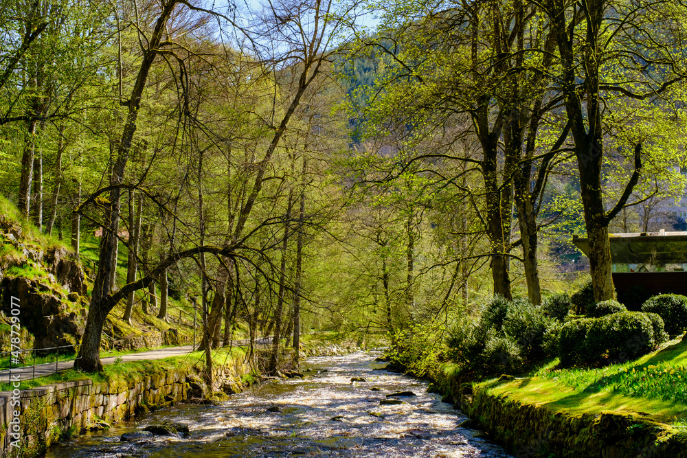 Germany, Baden-Wurttemberg, Bad Wildbad, Enz river flowing through Kurpark in summer Germany, Baden-Wurttemberg, Bad Wildbad, Enz river flowing through Kurpark in summer