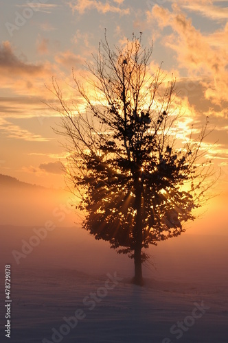 Sonnenuntergang im Rotmoos in Isny im Allgäu