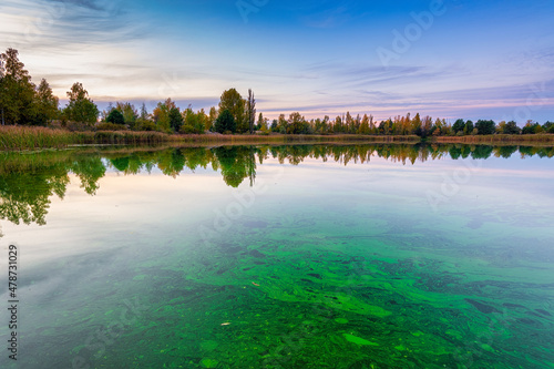 Trees reflecting in Lake Pripyat at dusk photo