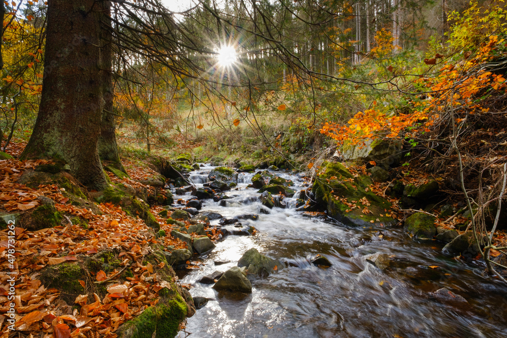 Radau river flowing through Harz National Park in autumn Radau river flowing through Harz National Park in autumn