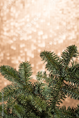 Fir branches on a golden background with copy-space