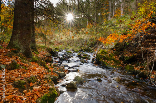 Radau river flowing through Harz National Park in autumn photo