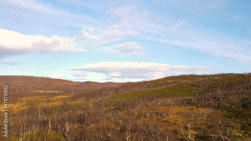 Beautiful aerial tiltshot of a birch forest in the Norwegian highlands photo