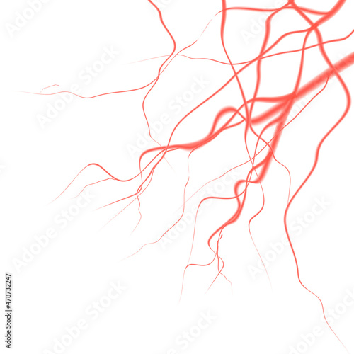 3d realistic icon. Blood system. Vein, vessels and cappilars.