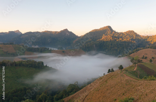 Aerial top view of forest trees and green mountain hills with sea fog, mist and clouds. Nature landscape background, Thailand.