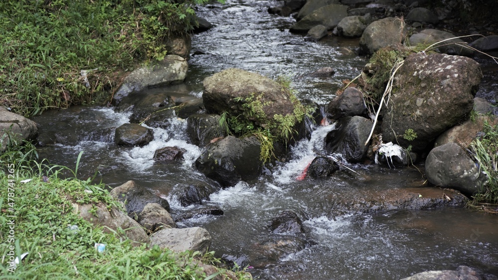 water stream on a river from a hill top of pine forest water stream on a river from a hill top of pine forest