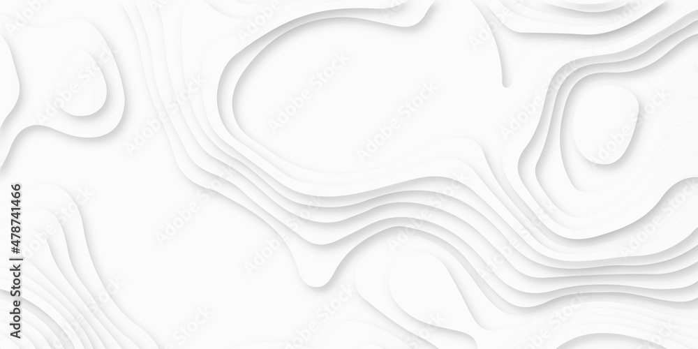 abstract circle blank paper white and gray tone vector background, wave overlapping with shadow modern concept, abstract curvature line pattern white background.