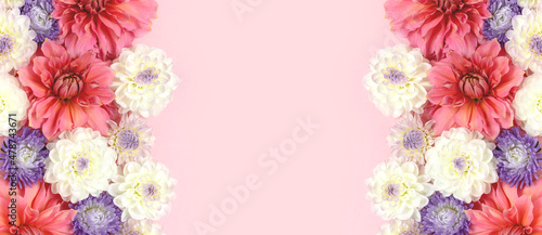 Photographie Banner with dahlia and aster flowers texture on a pink pastel background with copyspace