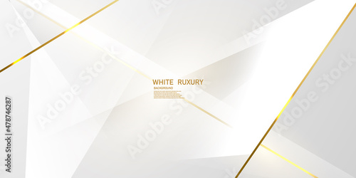 white and gray background elegant abstract design vector illustration